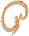Logo: urologen nieder-olm